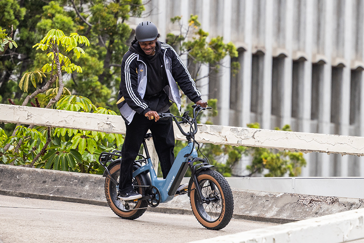 Troxus 750W 20" Lynx Step-Thru Fat Tire Electric Bike