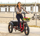 Addmotor 750W Triketan M-330F Electric Bike