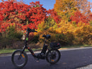 Ecotric 350W Starfish Folding Electric Bike