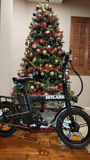 Nakto 500W Skylark 2 Folding Electric Bike