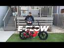 Electric Bike E-Joe E-Flow Review Video