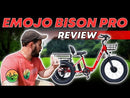 Emojo 750W Bison Pro Cargo Electric Trike