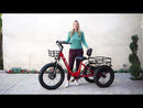 Emojo 750W Bison Pro Cargo Electric Trike