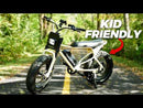 MacFox 500W X7 Electric Bike