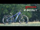 Electric Bike E-Joe E-Scout Review Video