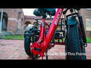 Emojo 750W Bison Pro Cargo Electric Trike