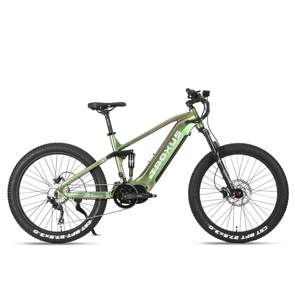 rex mountainbike 29 zoll test Troxus 960W T-Rex Full Suspension Electric Bike