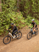 Troxus 750W Trax SUV 15/750 Electric Bike