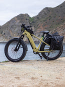 Troxus 750W Explorer Plus Step Over Electric Bike