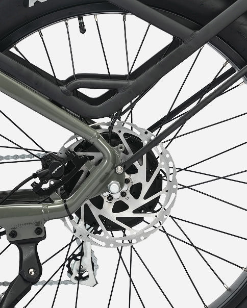 Troxus 750W Explorer Plus Step Thru MIK Version Electric Bike