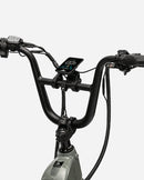 Troxus 750W Lynx 2-Up Electric Bike