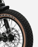 Troxus 750W Lynx 2-Up Electric Bike