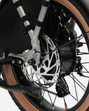 Troxus 750W Lynx 2-Up Electric Bike