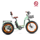 Addmotor 750W 48V Grandtan M-340 Trike Electric Bike
