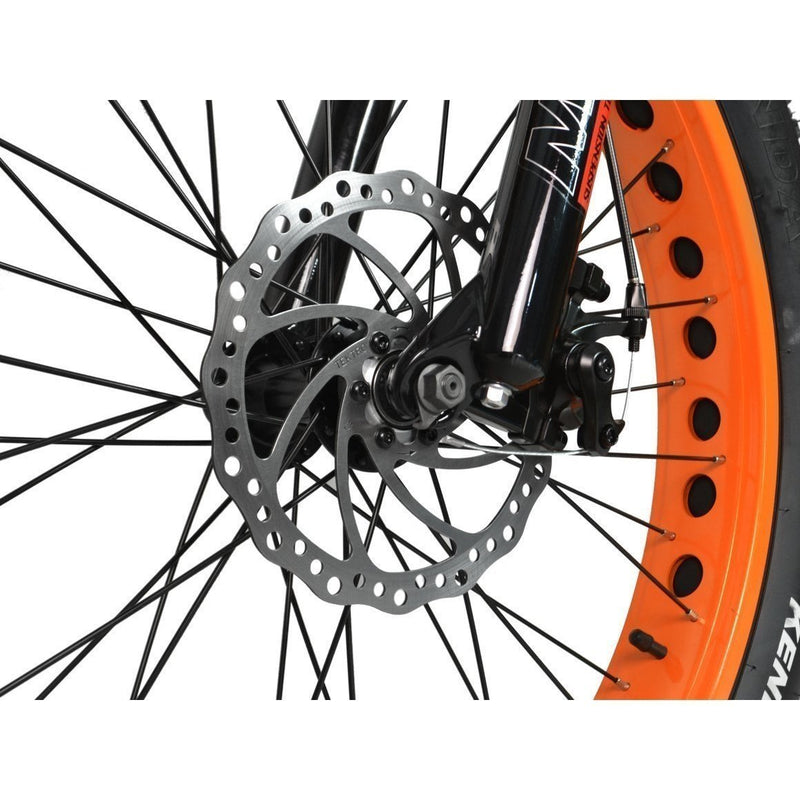 AddMotor 750W Motan M-550 P7 Fat Tire front disk brake