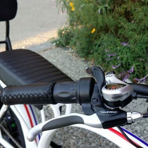 AddMotor 750W Motan M-60 R7 Comfort Fat Tire throttle