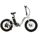 Ecotric 500W Dolphin Folding Fat Tire Electric Bike