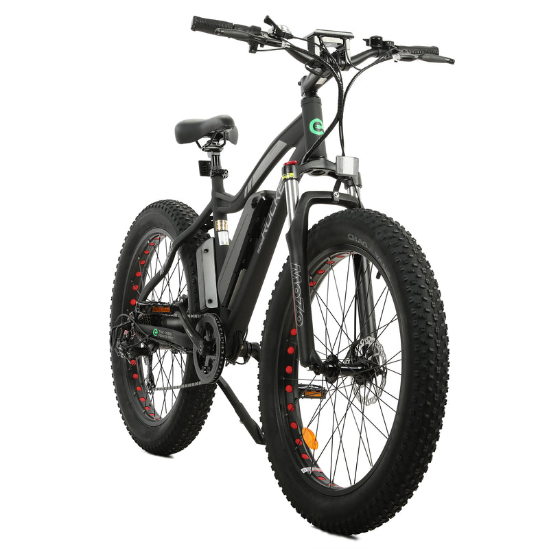 Ecotric 500W Rocket Fat Tire Beach Snow Electric Bike