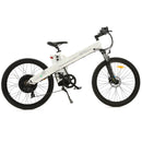 Ecotric 1000W Seagull Mountain Electric Bike