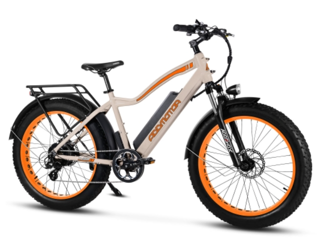 AddMotor 750W Motan M-550 P7 Fat Tire Electric Bike