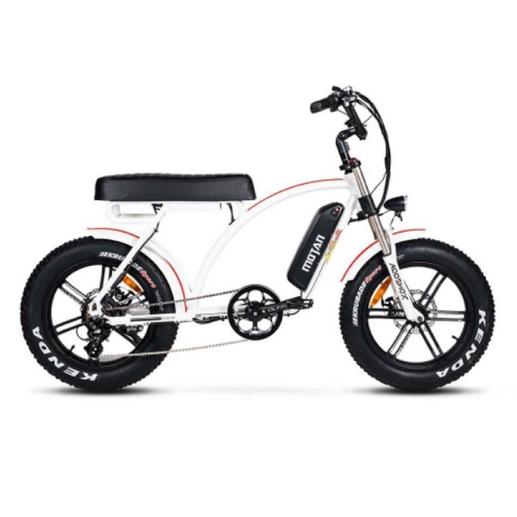 AddMotor 750W Motan M 60 R7 Comfort Fat Tire Electric Bike