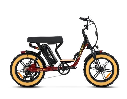 Electric Moped Bikes | BikeBerry.com Electric Moped Bikes | BikeBerry.com