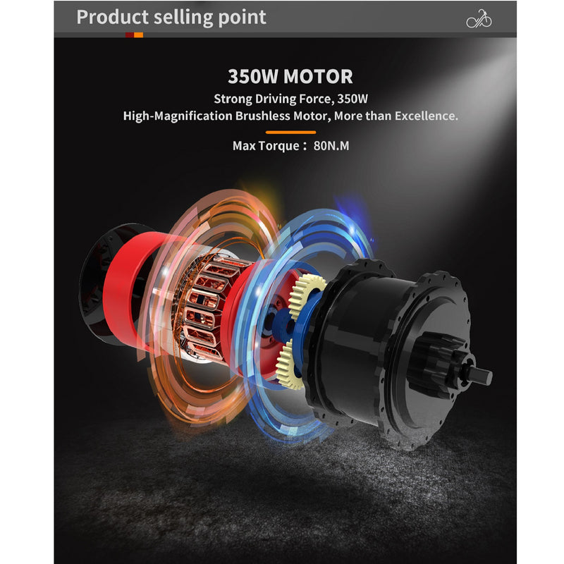 Electric Bike Aostirmotor G350 Motor