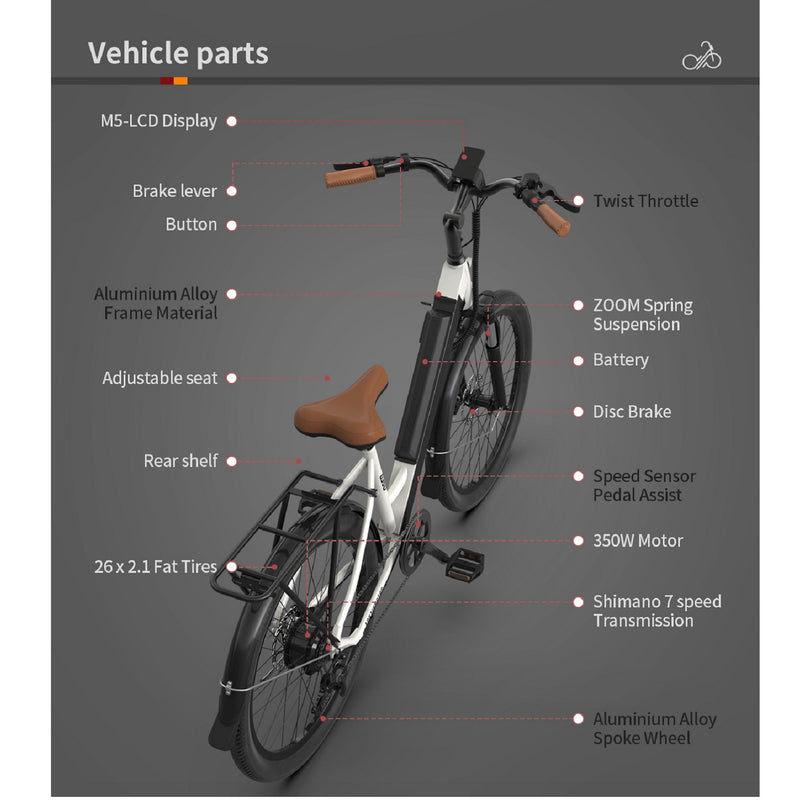 Electric Bike Aostirmotor G350 Parts
