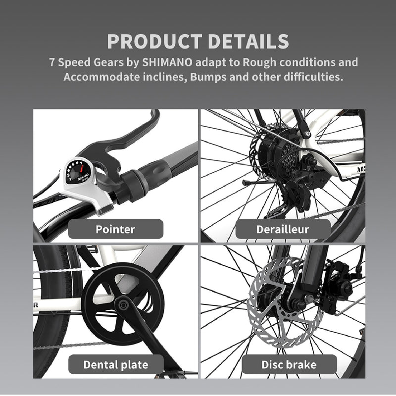 Electric Bike Aostirmotor G350 Specs