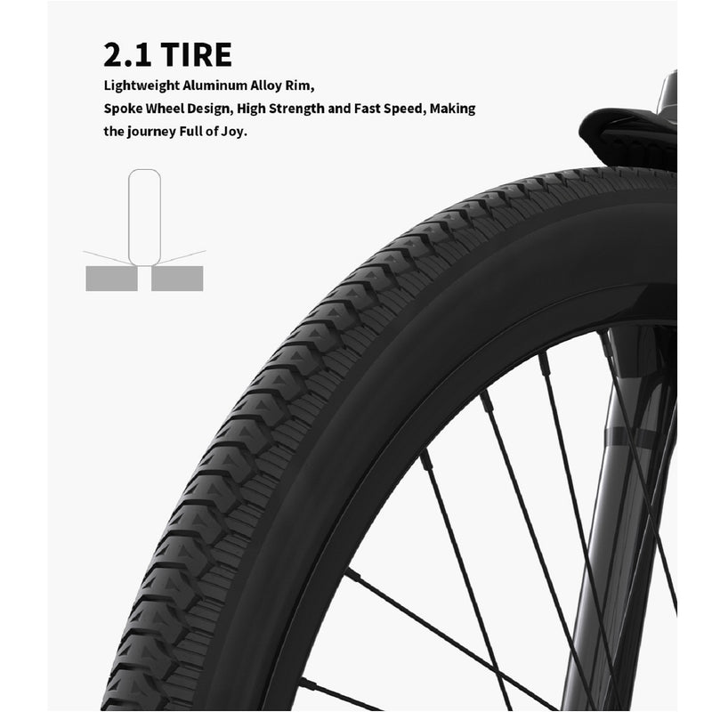 Electric Bike Aostirmotor G350 Tire
