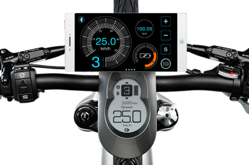 Electric Bike Besv PSF1 Speedometer