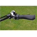 Electric Bike Coastal Cruiser 750W Shifter