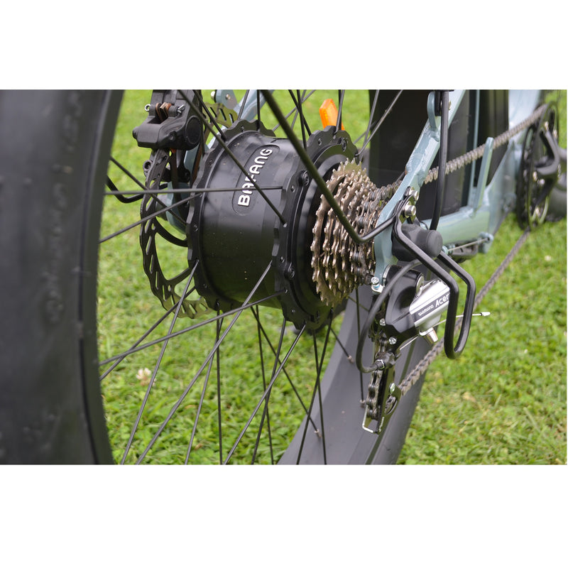 Electric Bike Coastal Cruiser 750W Hub