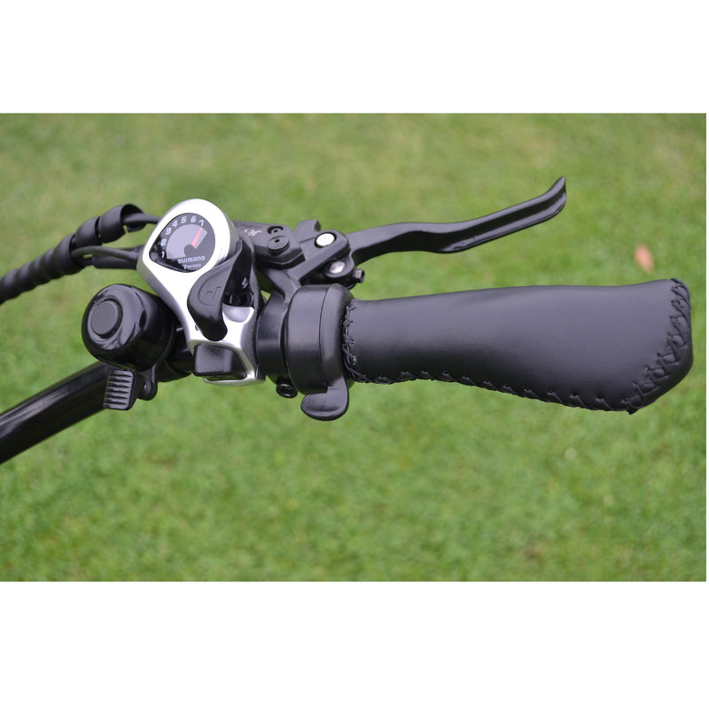 Electric Bike Coastal Cruiser 500W Classic Step Thru Shifter