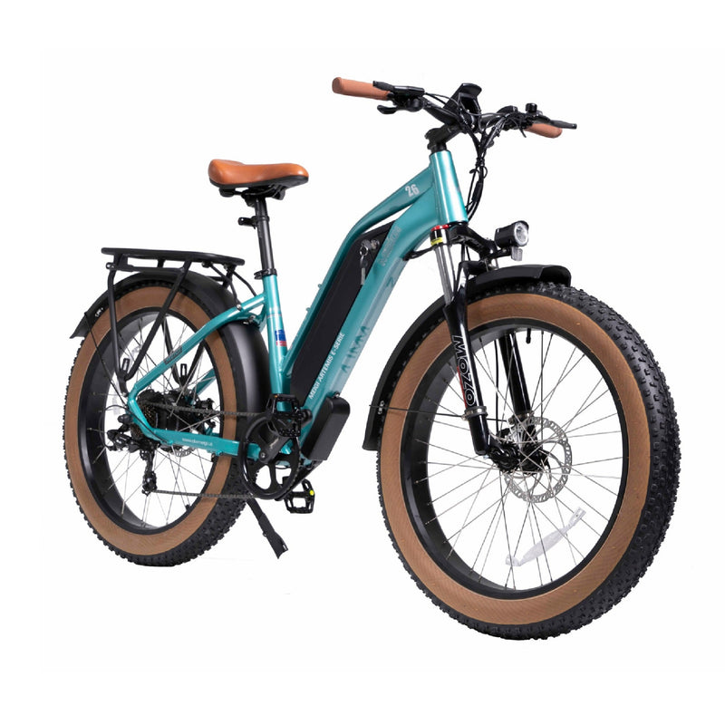 Electric Bike DWMeigi Artemis Green Right Front