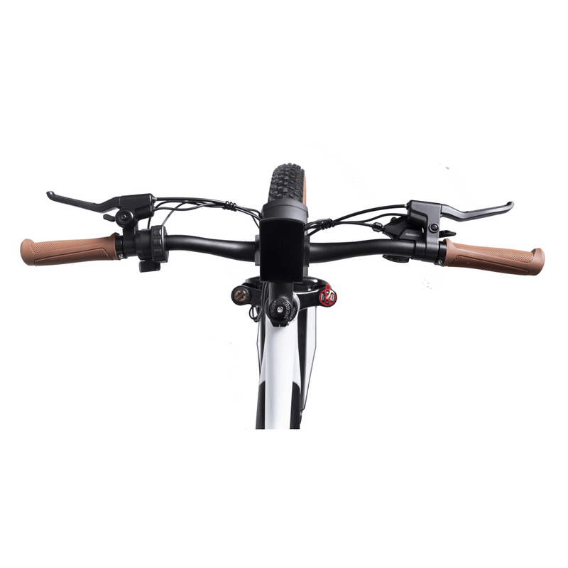 Electric Bike DWMeigi Artemis Handlebar