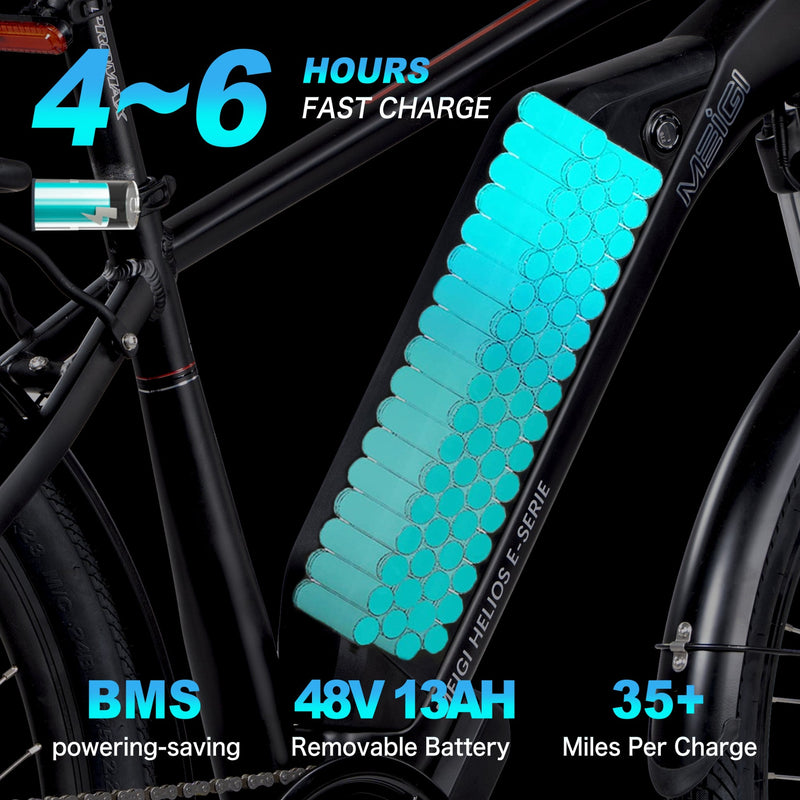 Electric Bike DWMeigi Helios Battery