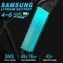 Electric Bike DWMeigi Pegasus Battery