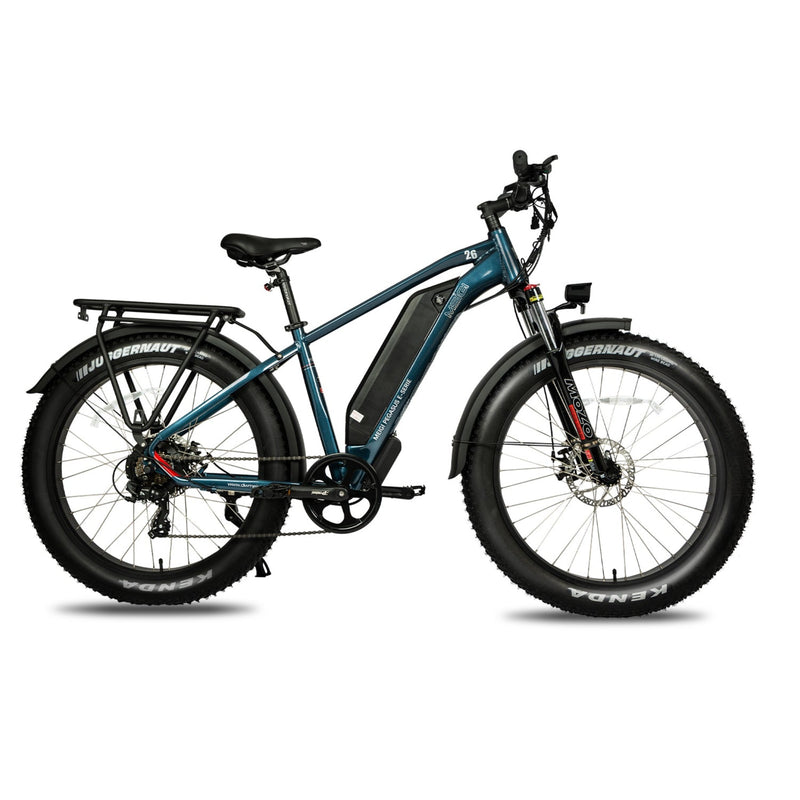 Electric Bike DWMeigi Pegasus Blue Right