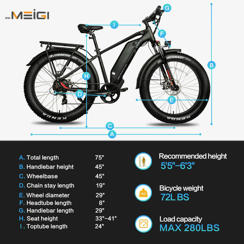 Electric Bike DWMeigi Pegasus Dimensions