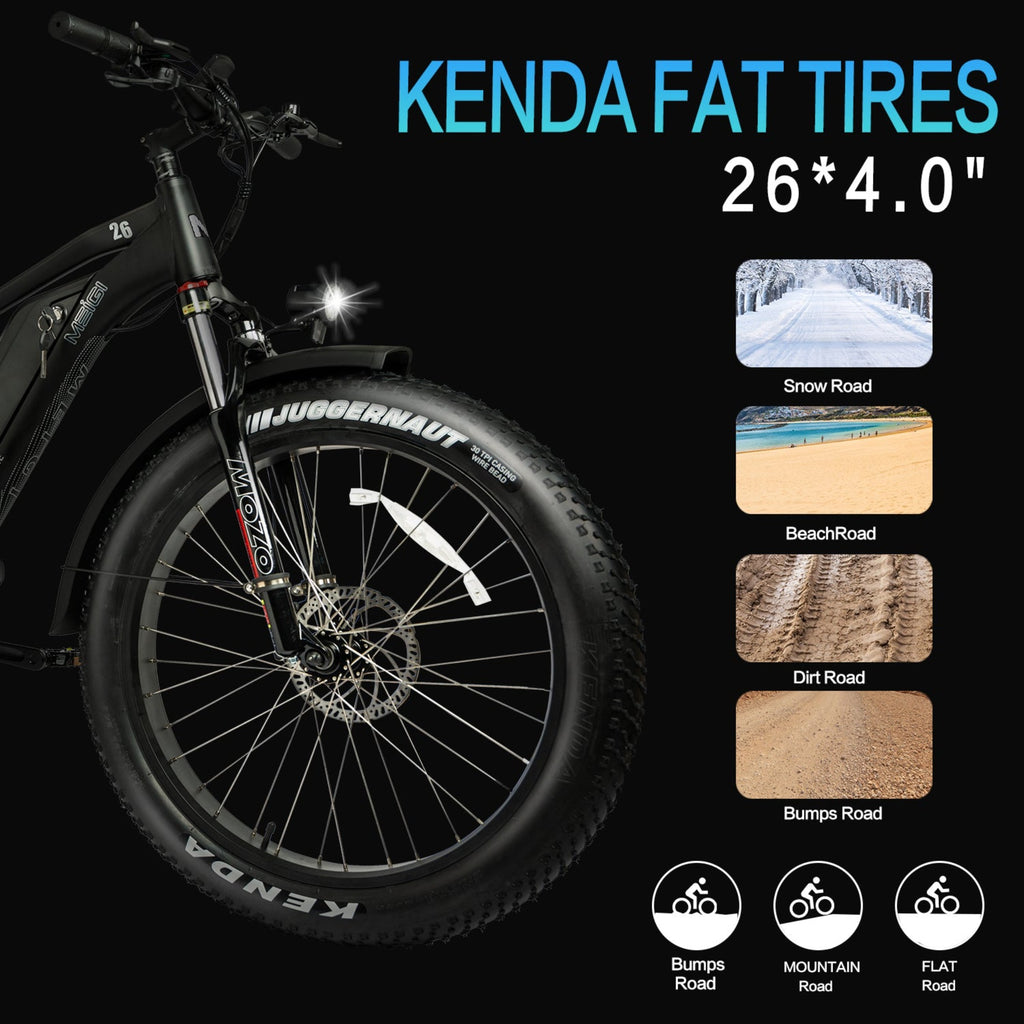 DWMeigi 750W Pegasus Electric Bike