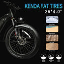 Electric Bike DWMeigi Pegasus Fork