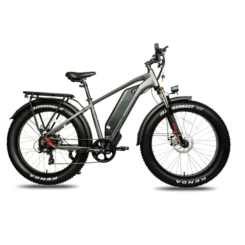 Electric Bike DWMeigi Pegasus Grey Right