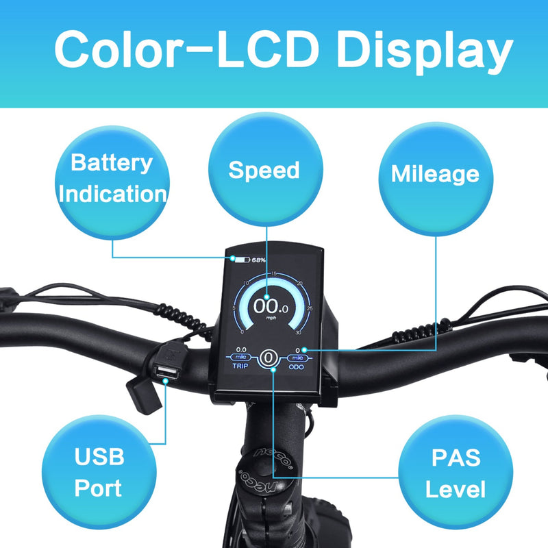 Electric Bike DWMeigi Pegasus LCD