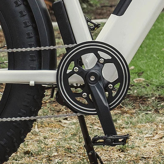 Electric Bike Dirwin Pioneer Step-Thru Crank