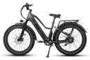 Electric Bike Dirwin Pioneer Step-Thru Grey Left
