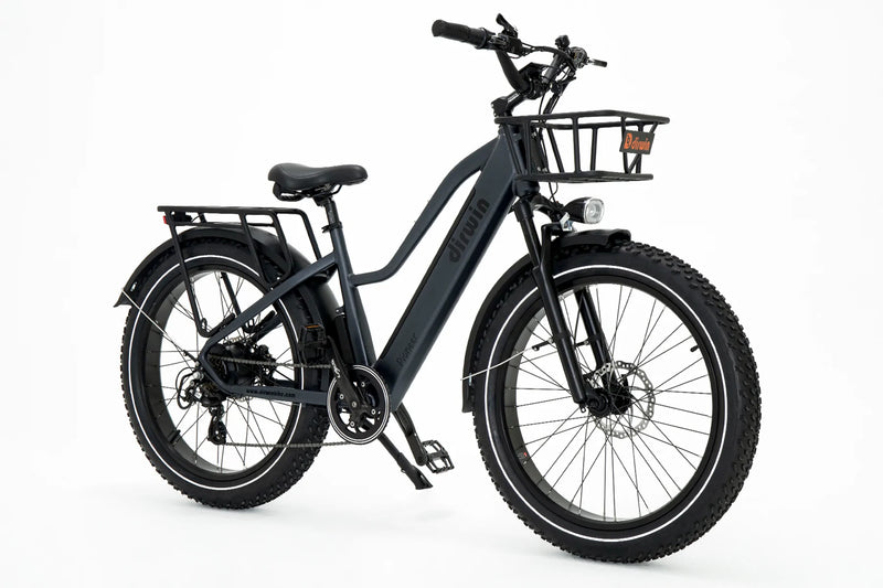 Electric Bike Dirwin Pioneer Step-Thru Grey Right Front