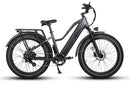 Electric Bike Dirwin Pioneer Step-Thru Grey Right