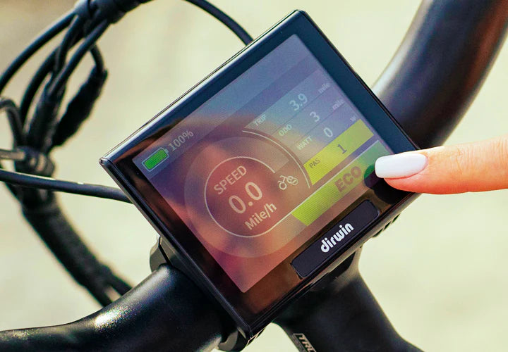 Electric Bike Dirwin Pioneer Step-Thru LCD