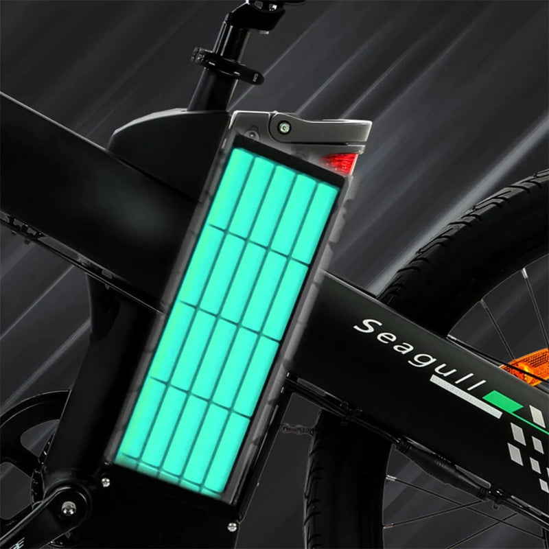 Electric Bike Ecotric Seagull Battery